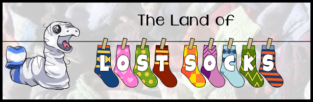 The Lost Socks Club